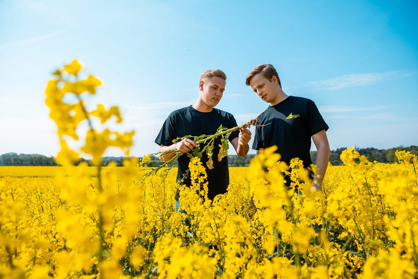 Nordjyllands Landbrugsskole